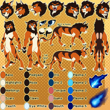 Detailed Reference Sheet