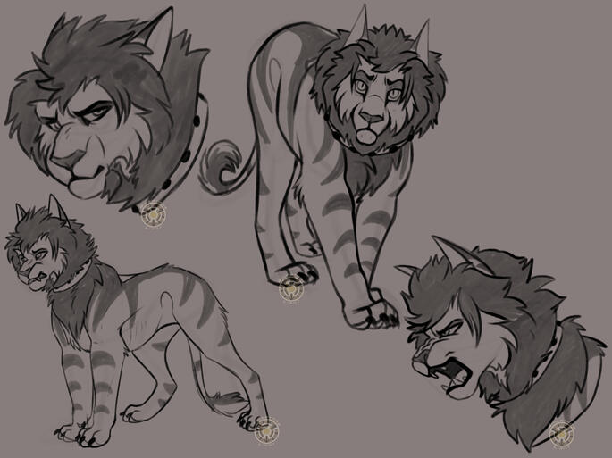 Sketch